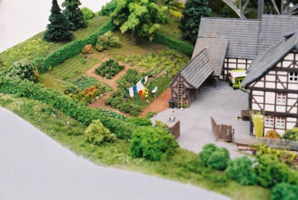 Der Bauerngarten