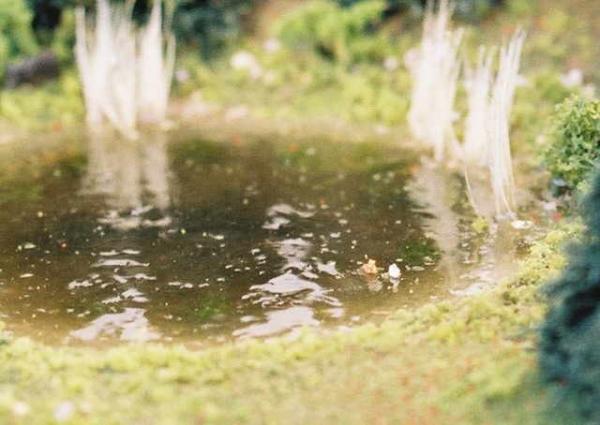 Enten