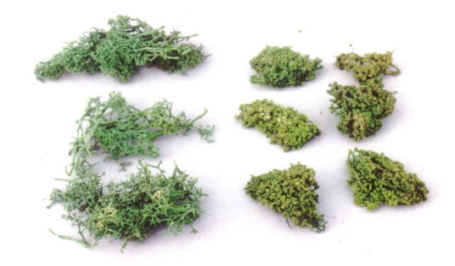 Verfeinertes Islandmoos
